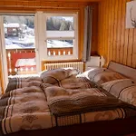 Riebe 331 * Grachen