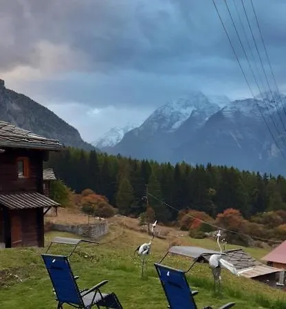 Riebe 331 Appartement