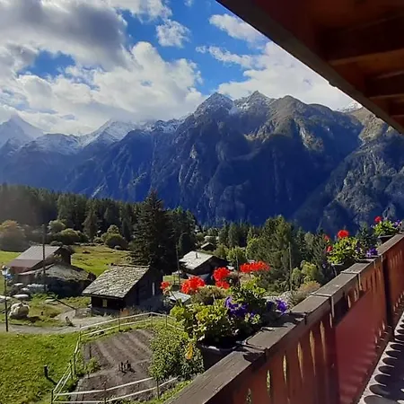 Apartament Riebe 331 *