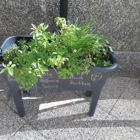 Riebe 331 * Grächen