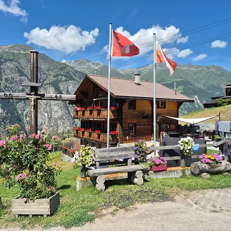 Riebe 331 Apartament