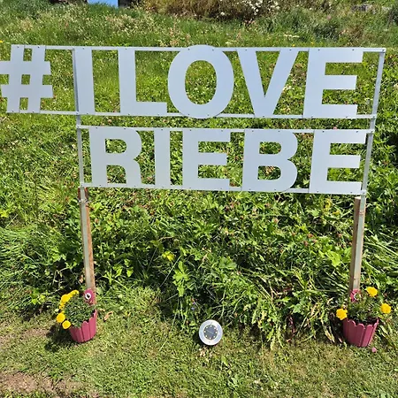 Riebe 331 Apartamento *