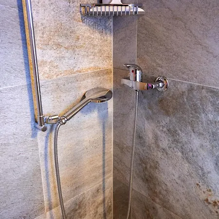 Riebe 331 *
