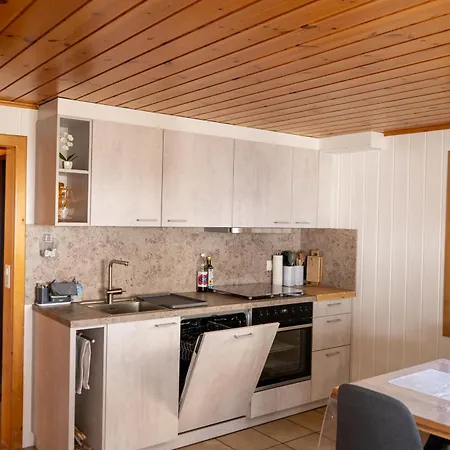 Apartament Riebe 331 Grächen