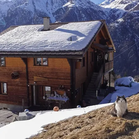 Riebe 331 Διαμέρισμα Grächen