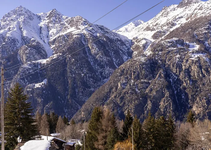 Riebe 331 * Grächen