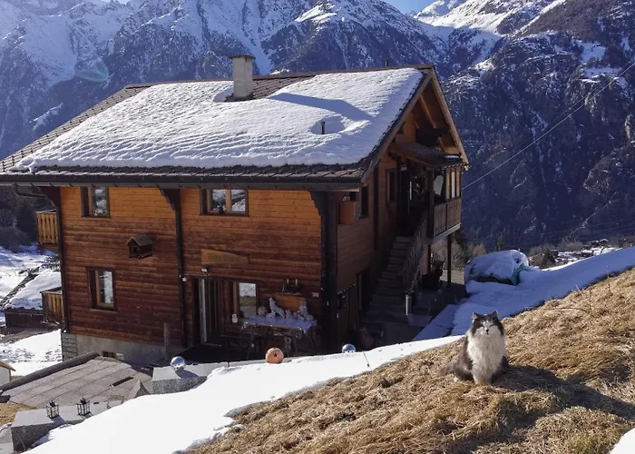 Riebe 331 Apartment Grächen