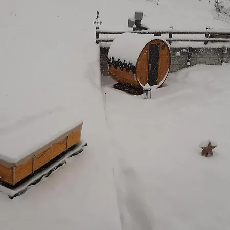 Appartement Riebe 331 Grächen