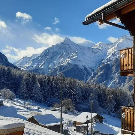 Riebe 331 Appartement