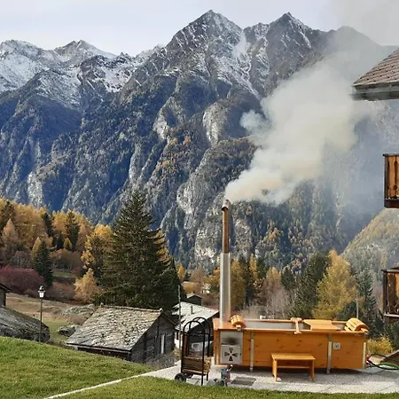 Appartement Riebe 331 Grächen