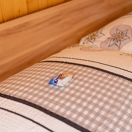 Appartement Riebe 331