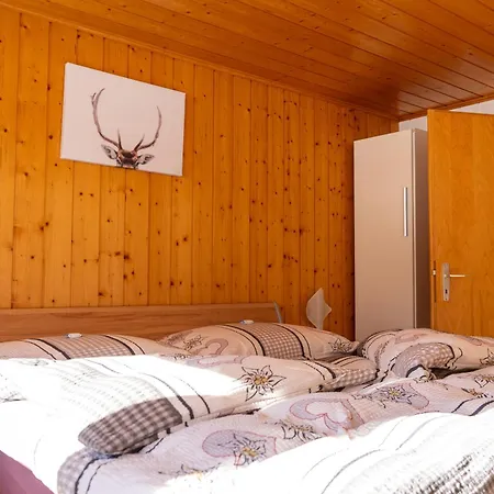 Riebe 331 Appartement